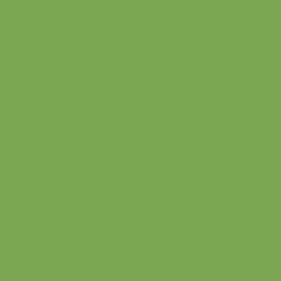 Зеленый полированный керамогранит, артикул: KG8004Q