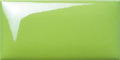 Зелёная, глянцевая, серия M751506P